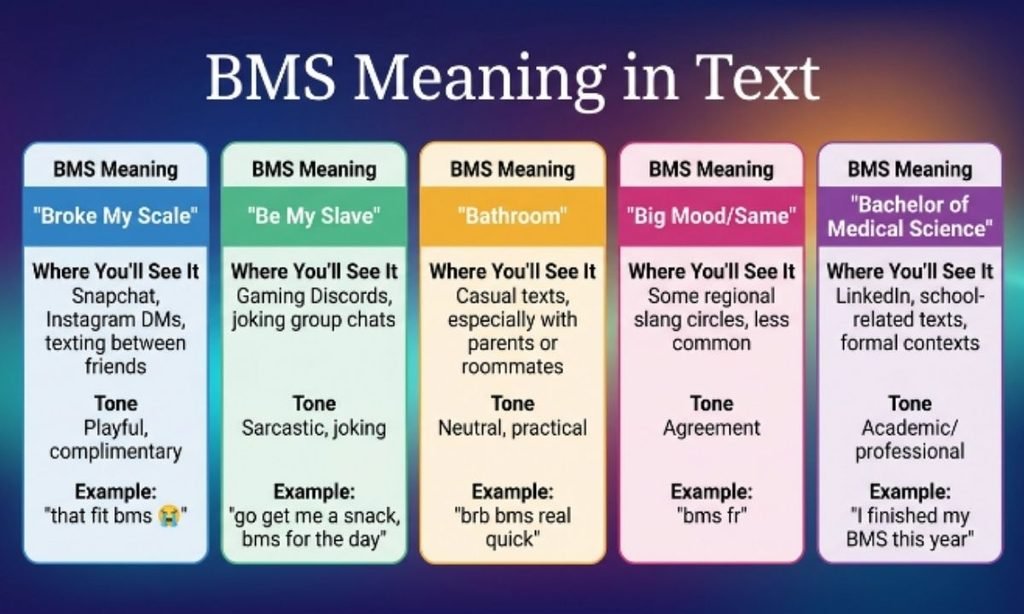 BMS Meaning in Text