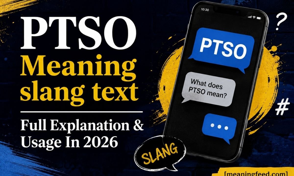 PTSO Meaning slang text Full Explanation & Usage In 2026